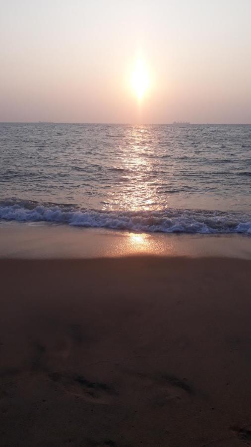 فندق Dolphinchilling Alankuda المظهر الخارجي الصورة