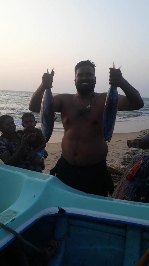 فندق Dolphinchilling Alankuda المظهر الخارجي الصورة
