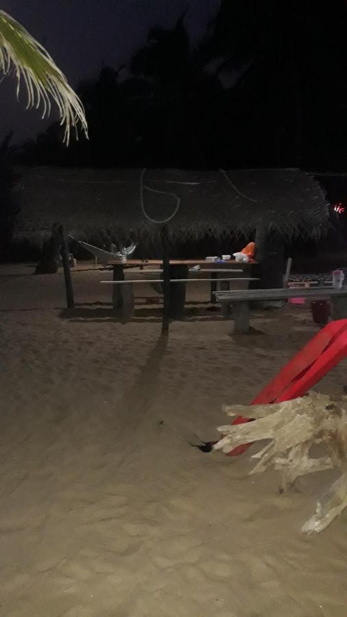 فندق Dolphinchilling Alankuda المظهر الخارجي الصورة