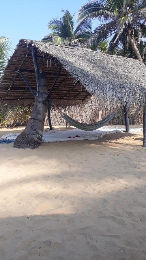فندق Dolphinchilling Alankuda المظهر الخارجي الصورة